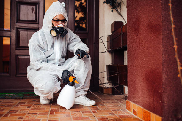 Reliable Bed Bug Control contractor in Chevy Chase View, MD by Nex Pest Control