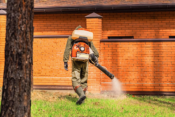 Trusted Bed Bug Control service in Chevy Chase View, MD - Nex Pest Control
